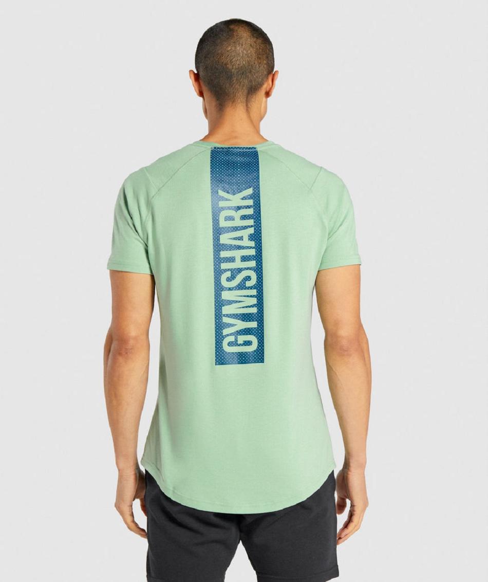 T Shirts Męskie Gymshark Bold Zielone | PL 3883CTV